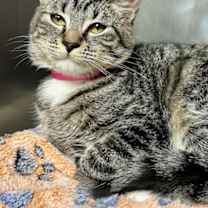 Thumbnail photo of Maribel #1