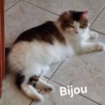 Thumbnail photo of Bijou #2