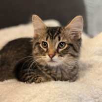 Thumbnail photo of Frederick #2