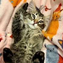 Thumbnail photo of Frederick #3