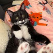 Thumbnail photo of Sal #2