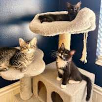 Thumbnail photo of Sal #4