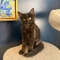 Thumbnail photo of Carla #2