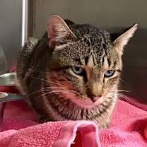 Thumbnail photo of Grant #2