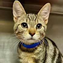 Thumbnail photo of Max #1