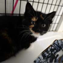 Thumbnail photo of Mariah Carey #2