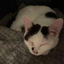 Thumbnail photo of Lillie #3