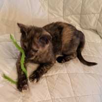 Thumbnail photo of Miss Heidi #3