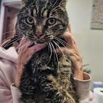 Thumbnail photo of Lou #4