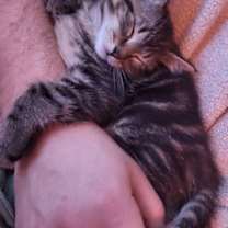 Thumbnail photo of Jelly Zoomz #1