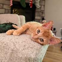 Thumbnail photo of Bjorn #2