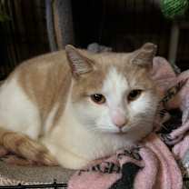 Thumbnail photo of Peaches #2