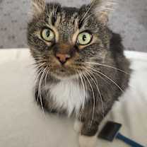 Thumbnail photo of Willy #1