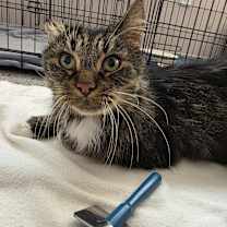 Thumbnail photo of Willy #2