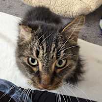 Thumbnail photo of Willy #4