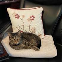 Thumbnail photo of Bootsy #1