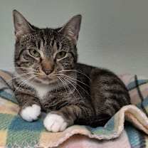 Thumbnail photo of Isabel AND Gigi #1