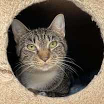 Thumbnail photo of Isabel AND Gigi #2