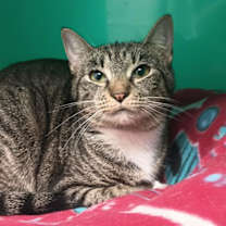 Thumbnail photo of Isabel AND Gigi #3