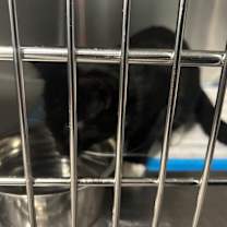 Thumbnail photo of Indian Ocean  #2