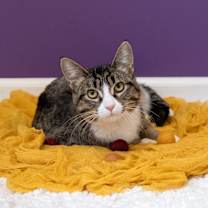 Thumbnail photo of U-Pick #3