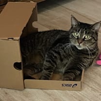 Thumbnail photo of Bootsy #3