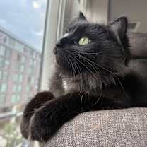 Thumbnail photo of Taco and Churro #3