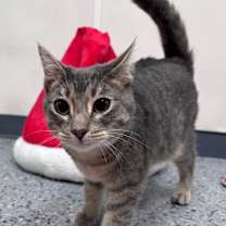 Thumbnail photo of Splash 27224 #3