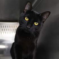 Thumbnail photo of Po #1