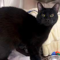 Thumbnail photo of Po #2