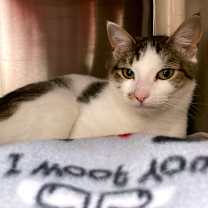 Thumbnail photo of Eggnog Latte #3