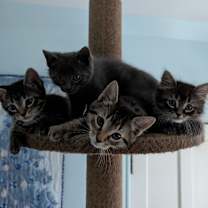 Thumbnail photo of Hazel - See my video! #2