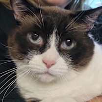 Thumbnail photo of Rosie #2