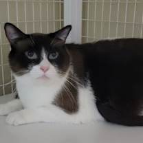 Thumbnail photo of Rosie #3