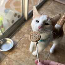 Thumbnail photo of Toenail #4