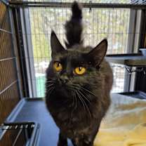 Thumbnail photo of Turkey #2