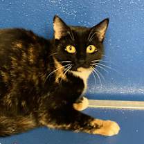 Thumbnail photo of Edith Ann #1