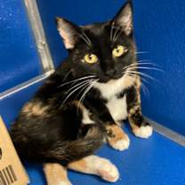 Thumbnail photo of Edith Ann #2