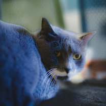 Thumbnail photo of Samantha #1