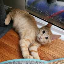 Thumbnail photo of Butterbean #2