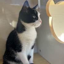 Thumbnail photo of Rental #2