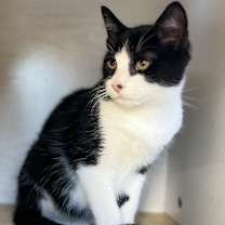 Thumbnail photo of Rental #1