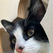 Thumbnail photo of Rental #3