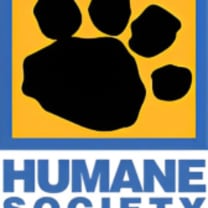 Thumbnail photo of Gizmo #2