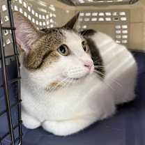 Thumbnail photo of Theodore #4