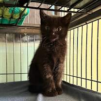 Thumbnail photo of Cypress #1