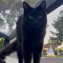 Thumbnail photo of Marie #2