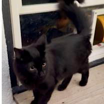 Thumbnail photo of Marie #3