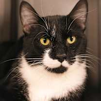 Thumbnail photo of Kyle #1