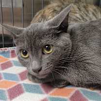 Thumbnail photo of Ember (Music) #1